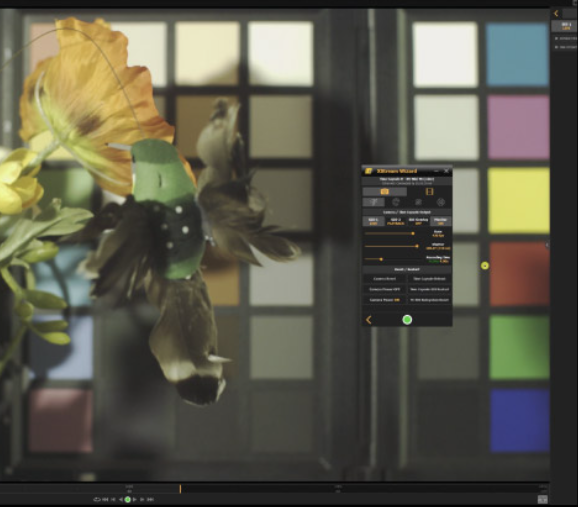 Motion Studio software